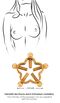 Nipple Jewellery, ornamente Sfarcuri Aurii, piercing elegant